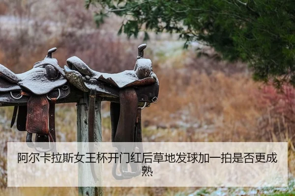 a-er-ka-la-si-nv-wang-bei-kai-men-hong-hou-cao-di-fa-qiu-jia-yi-pai-shi-fou-geng-cheng-shu-2-515.jpg
