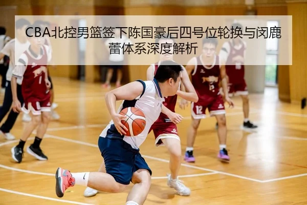 CBA北控男篮签下陈国豪后四号位轮换与闵鹿蕾体系深度解析