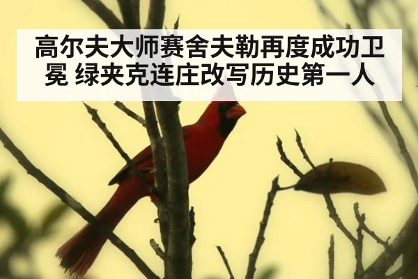 高尔夫大师赛舍夫勒再度成功卫冕 绿夹克连庄改写历史第一人